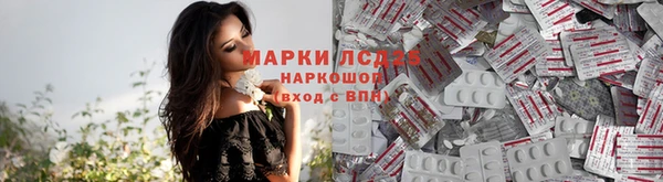 ПСИЛОЦИБИНОВЫЕ ГРИБЫ Кулебаки