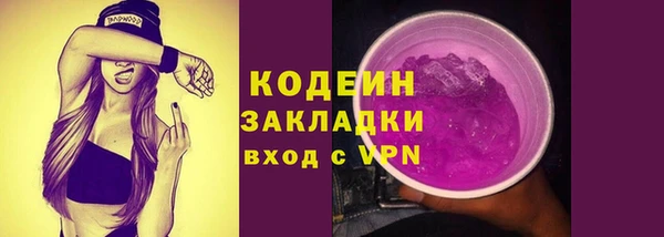 ПСИЛОЦИБИНОВЫЕ ГРИБЫ Кулебаки