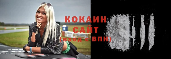 ПСИЛОЦИБИНОВЫЕ ГРИБЫ Кулебаки