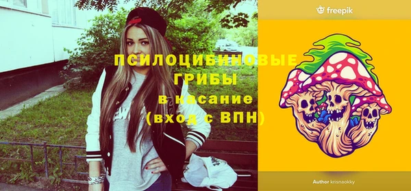 ПСИЛОЦИБИНОВЫЕ ГРИБЫ Кулебаки
