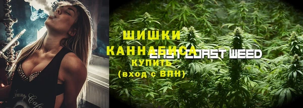 шишки Кукмор