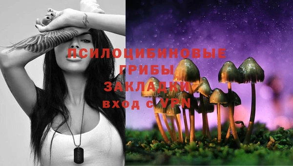 прущие крисы Краснослободск