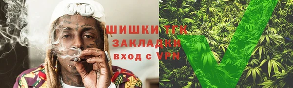 шишки Кукмор