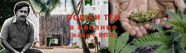 шишки Кукмор