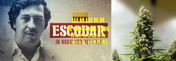 ПСИЛОЦИБИНОВЫЕ ГРИБЫ Кулебаки